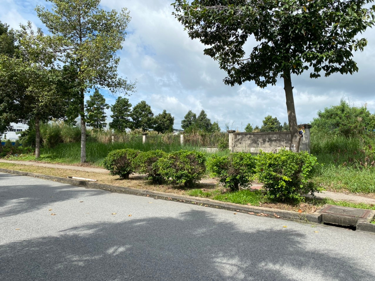 Bán đất nhà xưởng SKC góc 2 mặt tiền gần 10000m2 kcn long hậu cần giuộc