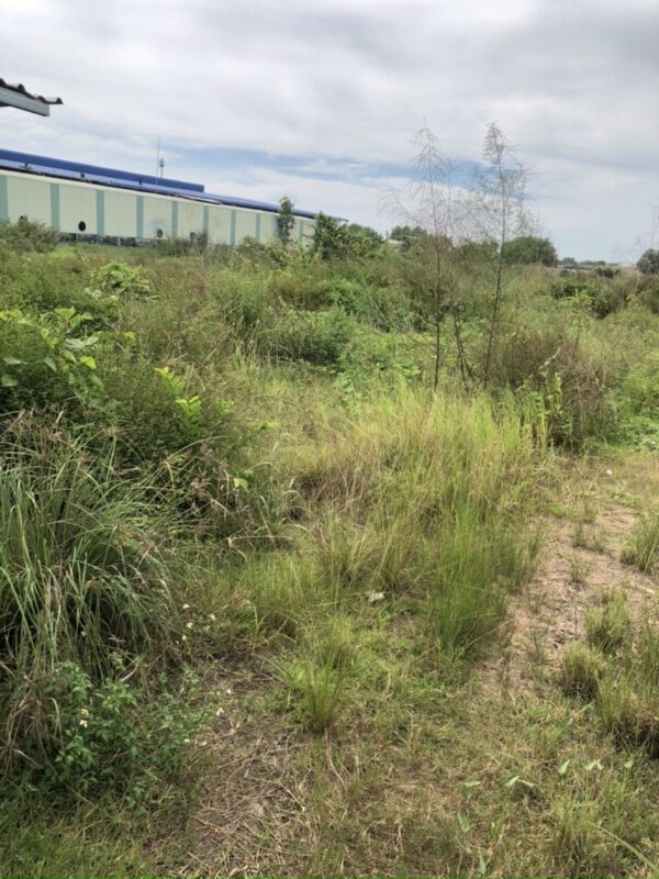 Cần bán gấp 2 lô đất công nghiệp xây xưởng giá rẻ kcn Hoàng gia, Long an