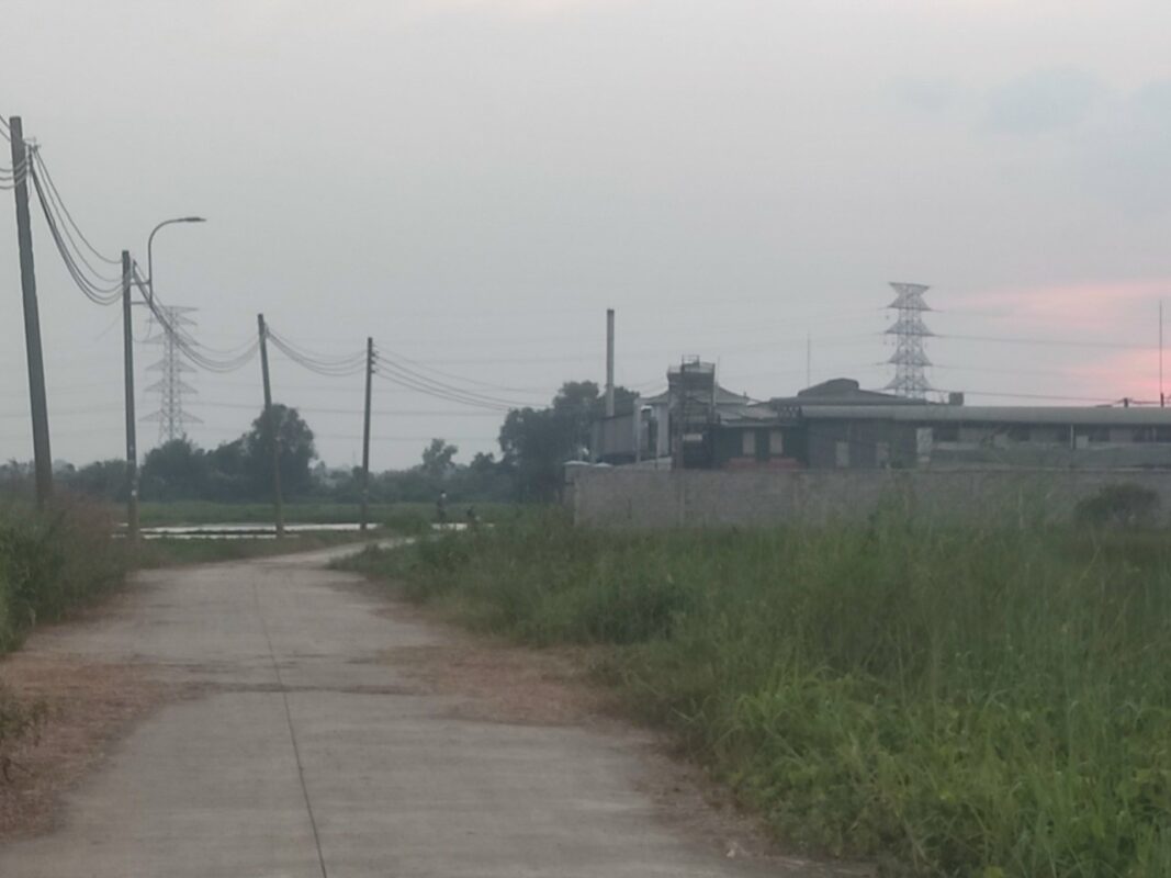 Bán lô đất giá rẻ 5000m2 mặt tiền nhựa Tân Thạnh Đông, Củ Chi