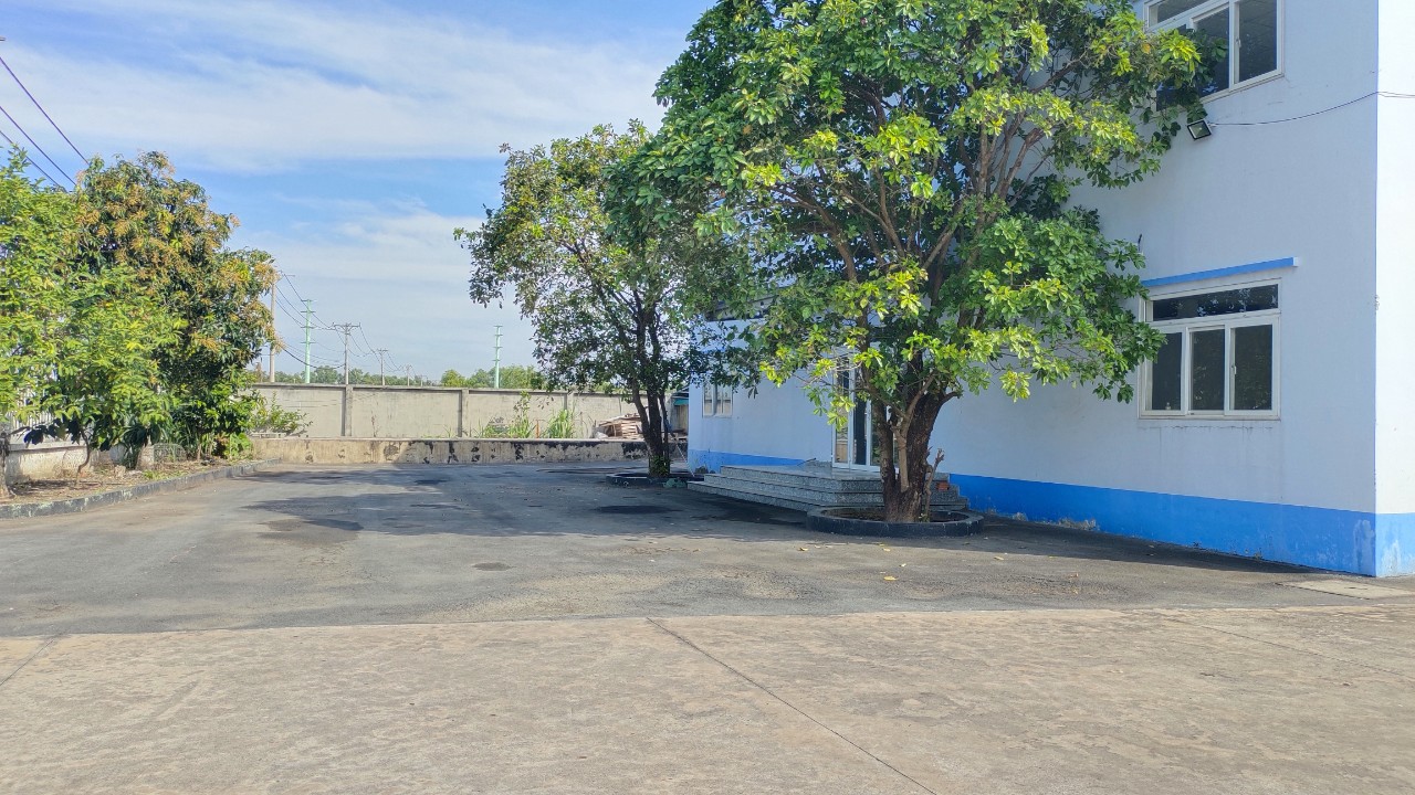 Ảnh 7