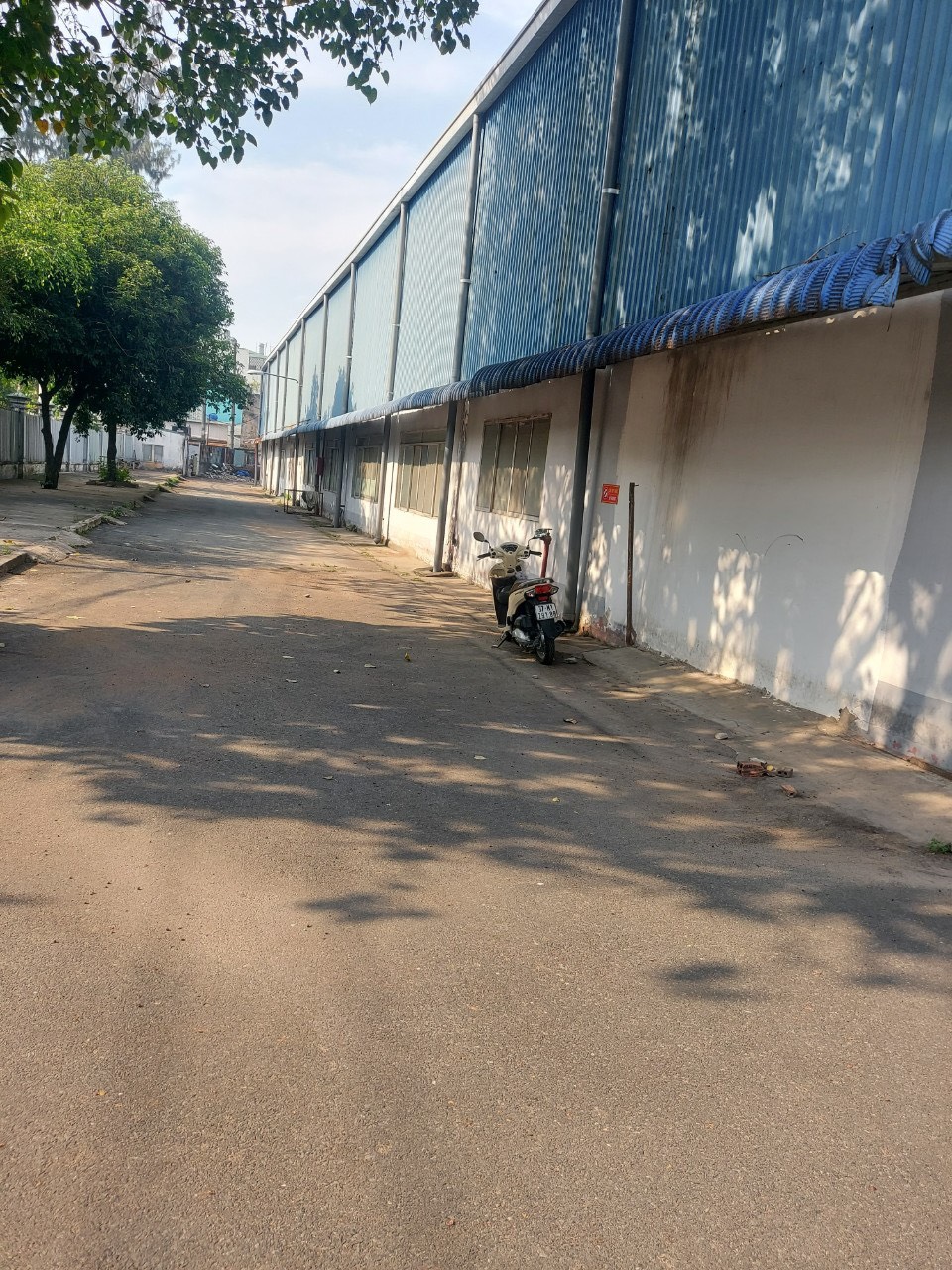 Ảnh 7