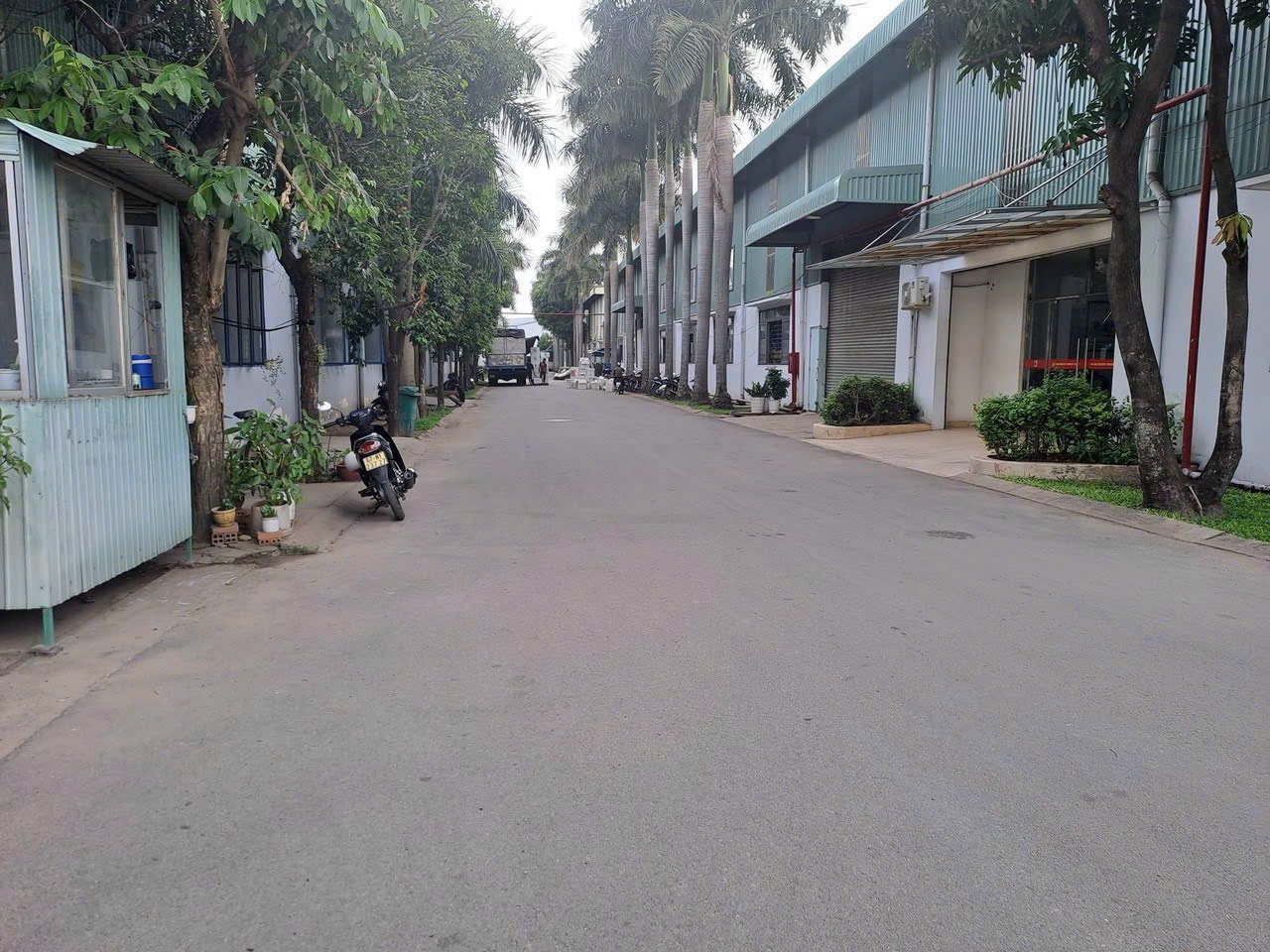 Ảnh 5