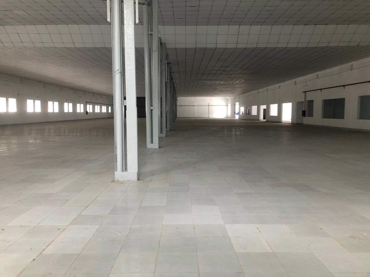 Cho thuê nhà xưởng 5000m2 Phan Huy Ích, P.15, Tân Bình