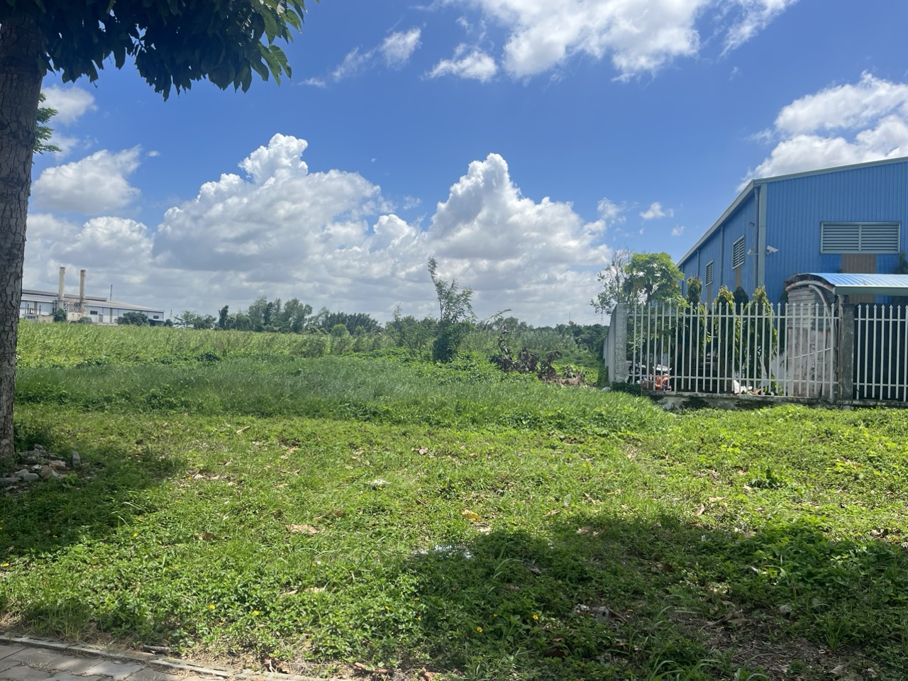 Chuyển nhượng đất 3-5ha góc 2 mặt tiền KCN Hựu Thạnh