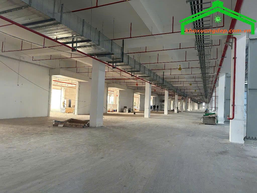 Cho thuê kho xưởng 23100m2 KCN Long Hậu, Cần Giuộc, Long An