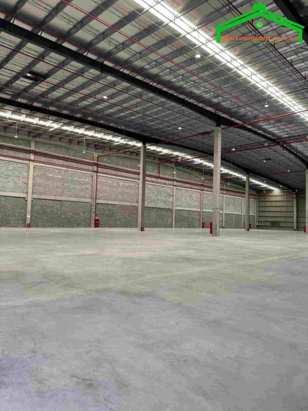Cho thuê kho xưởng 75000m2 KCN Long Hậu, Cần Giuộc, Long An