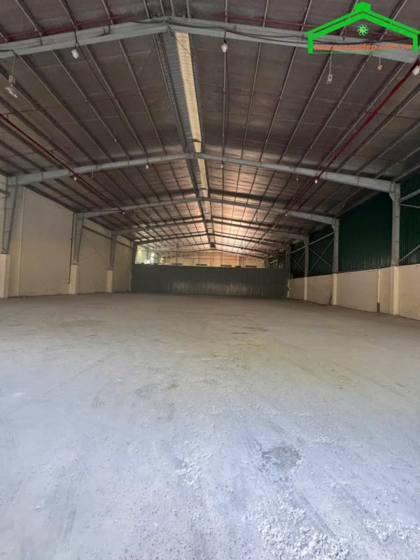 Cho thuê kho xưởng 1134m2-2500m2 KCN Cát Lái, Thủ Đức