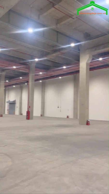 Cho thuê kho xưởng 17000m2 KCN Xuyên Á, Đức Hòa, Long An