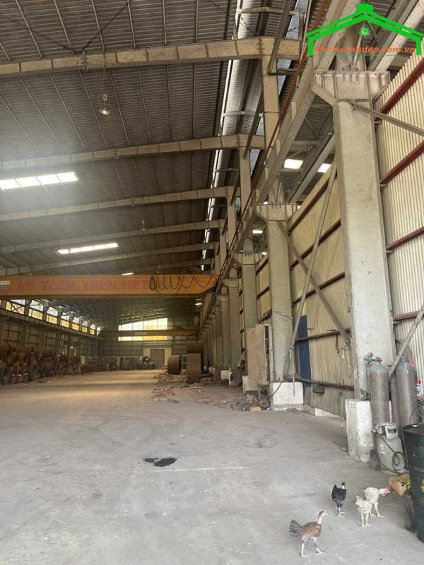 Cho thuê kho xưởng 3000m2 KCN Tân Tạo, Bình Tân