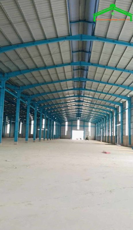 Cho thuê kho xưởng 10000m2 QL50, Cần Đước, Long An