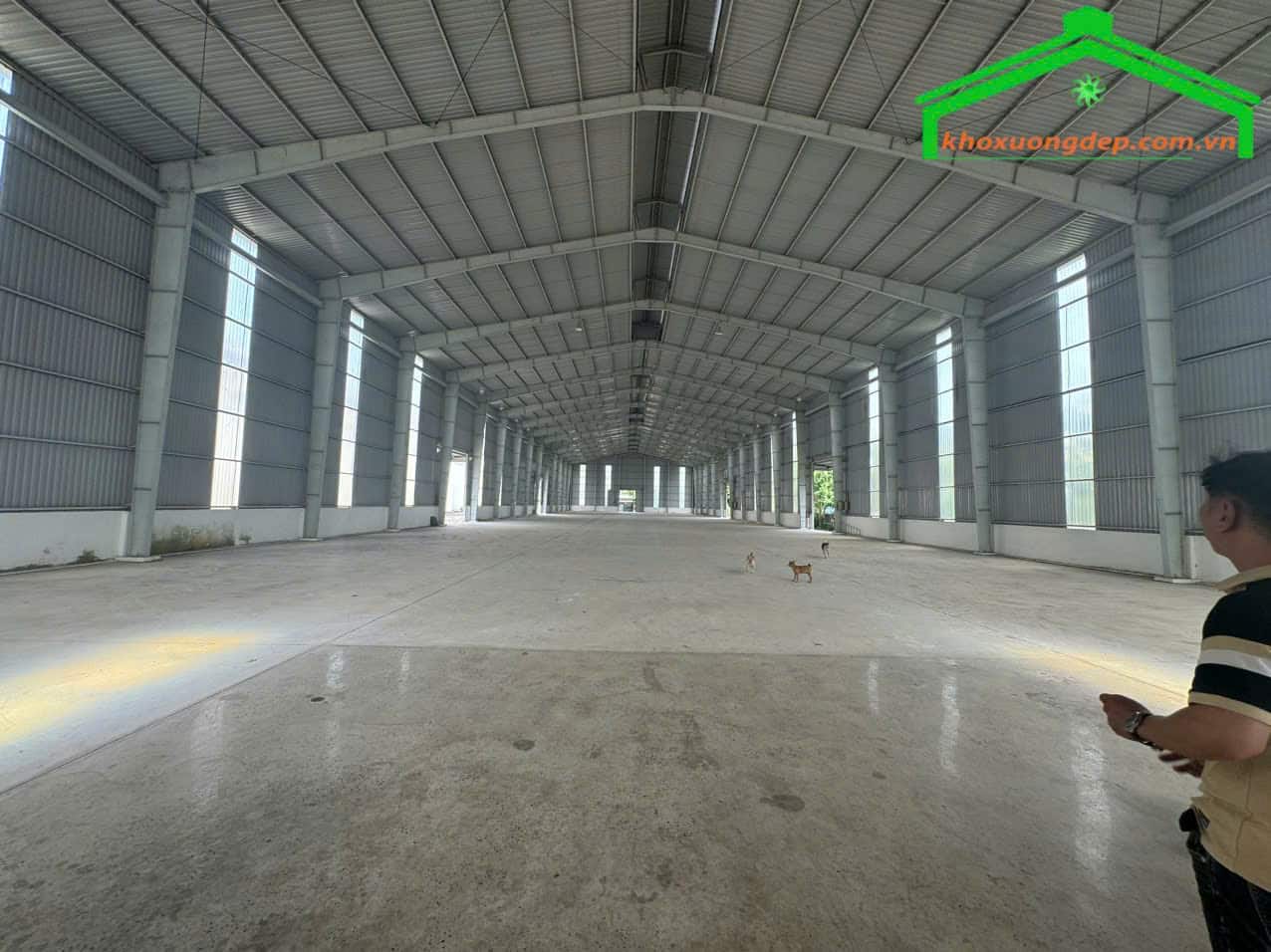 Cho thuê kho xưởng 24000m2 tại Vị Thanh, Hậu Giang