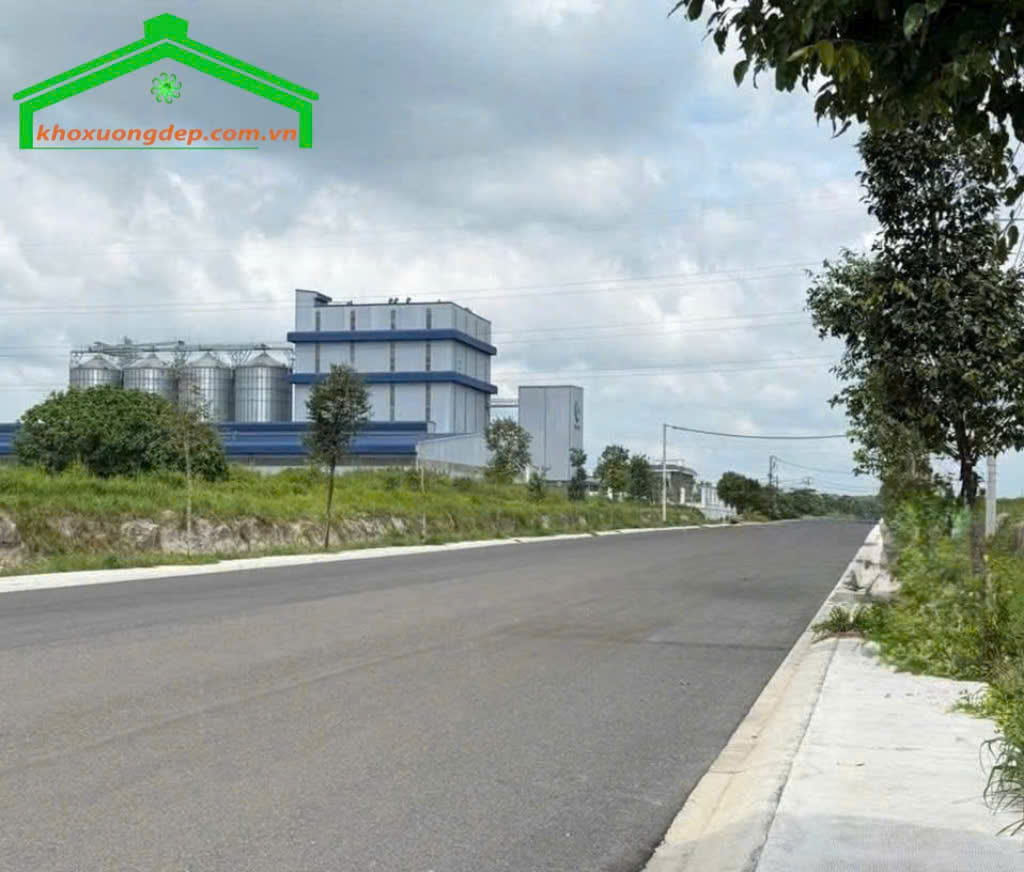 Bán đất 6400m2 KCN Tân Đức, Đức Hòa, Tây Ninh