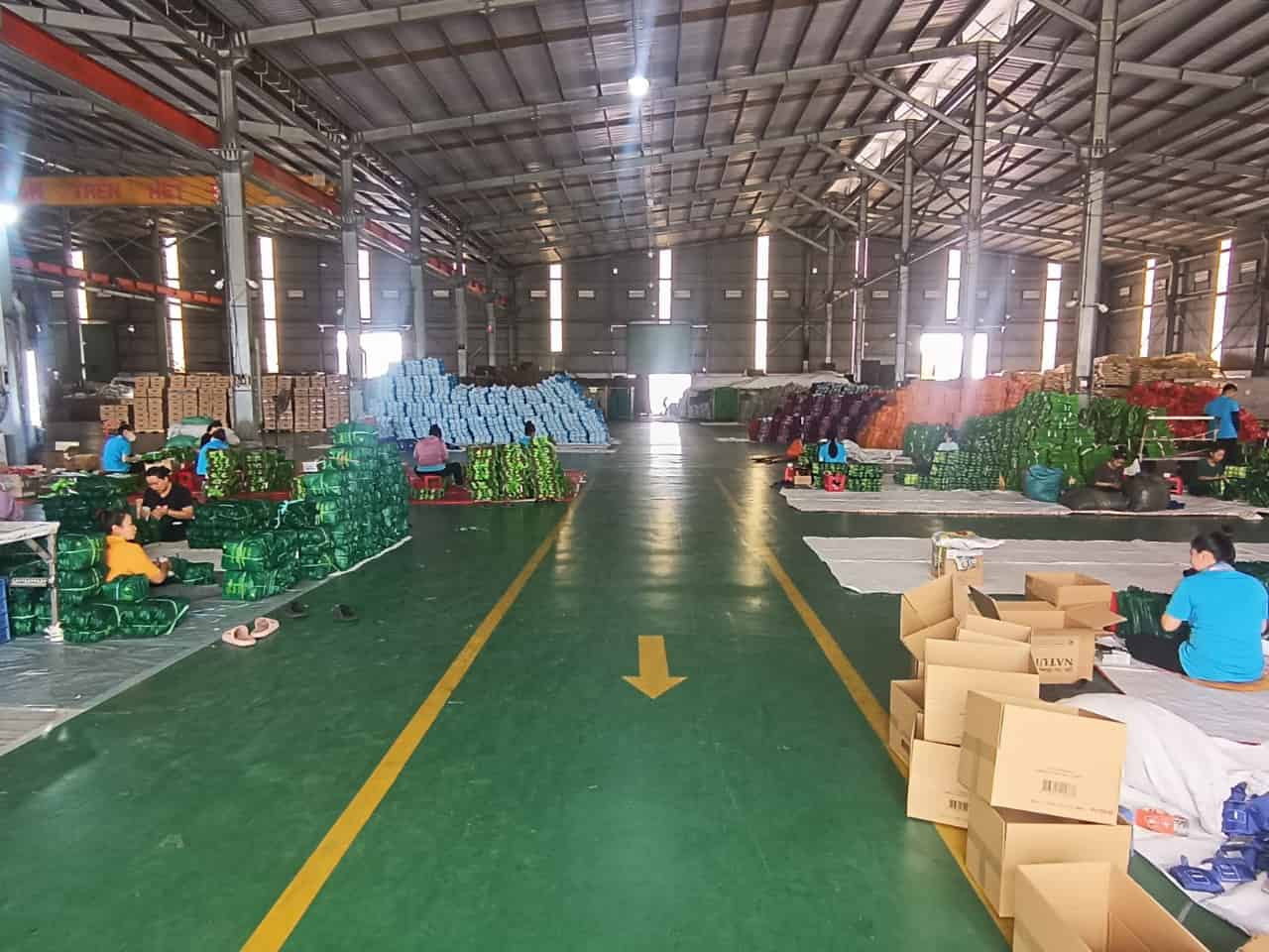Xưởng bán 7000m2 trong kcn Vĩnh Lộc 2 – Bến Lức, Long An