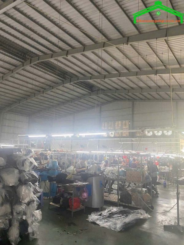 Cho thuê kho xưởng 2600m2 Thuận Giao, Thuận An, Bình Dương