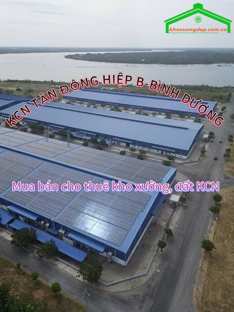Cho thuê xưởng và mua bán xưởng tại Khu công nghiệp Tân Đông Hiệp B, Bình Dương