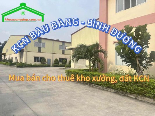Cho thuê xưởng và mua bán xưởng tại Khu công nghiệp Bàu Bàng, Bình Dương