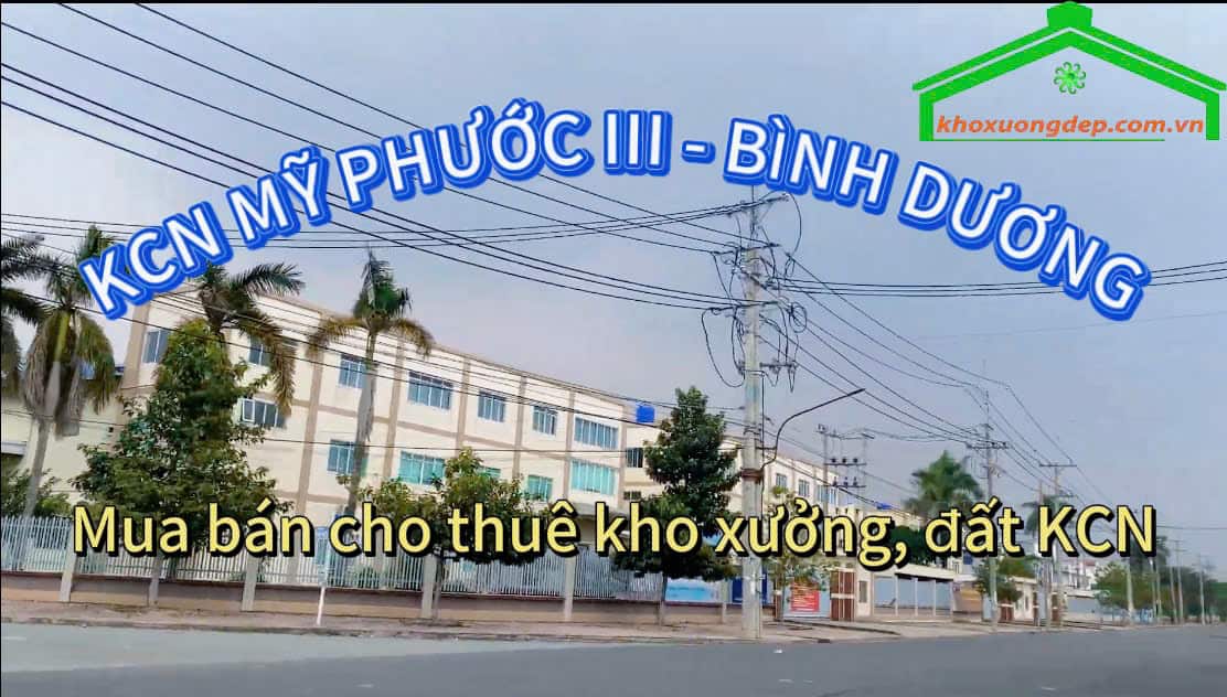 Cho thuê xưởng và mua bán xưởng tại Khu công nghiệp Mỹ Phước III, Bình Dương