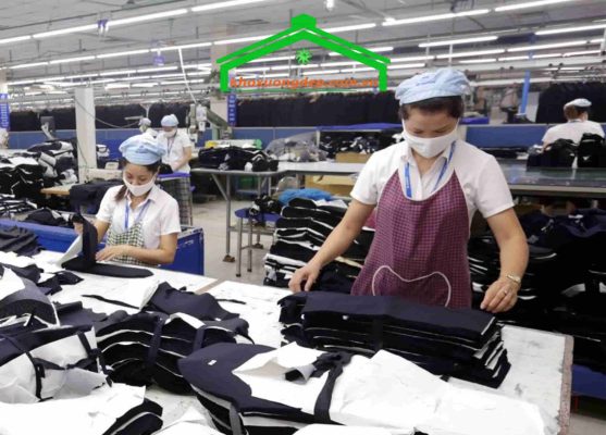 Các ngành nghề tiêu biểu tại Khu công nghiệp Hoà Cầm, Đà Nẵng