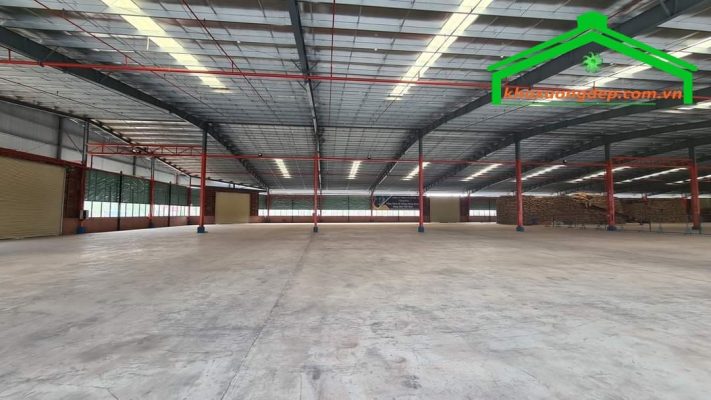 Cho thuê kho xưởng 40000m2 KCN Tân Đô, Đức Hòa, Tây Ninh