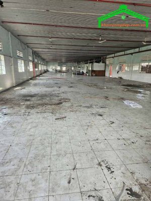 Cho thuê kho xưởng 2200m2 tại Trung Lập Thượng, Củ Chi