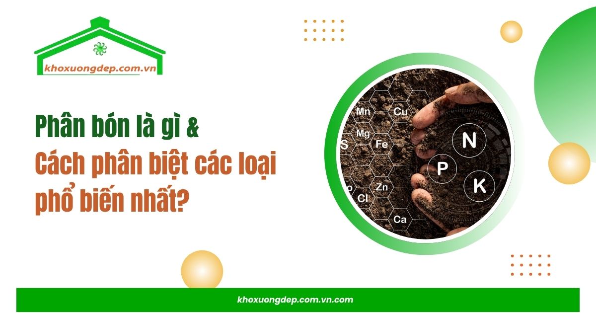 Đầu tư vào kho xưởng để bảo quản phân bón chất lượng, tối ưu hóa lợi nhuận.