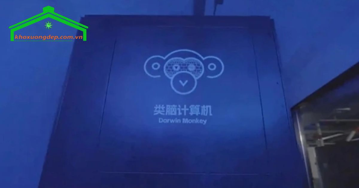 Siêu máy tính Darwin Monkey được thiết kế với hơn 2 tỷ neuron và khoảng 100 tỷ khớp nối thần kinh (synapse), mô phỏng cấu trúc não bộ của khỉ đuôi dài.