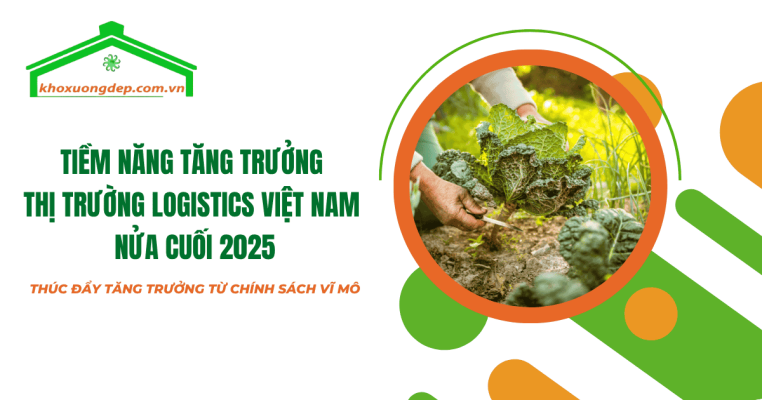 Thị trường logistics Việt Nam đang sôi động với những cơ hội bứt phá nhờ các chính sách hỗ trợ và xu hướng phát triển bền vững.