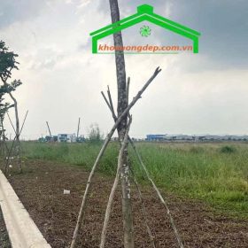 Bán đất công nghiệp 10000m2 (1ha) trong KCN QTIP Quảng Trị