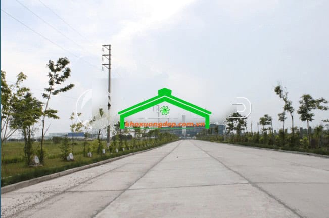 Ảnh 3