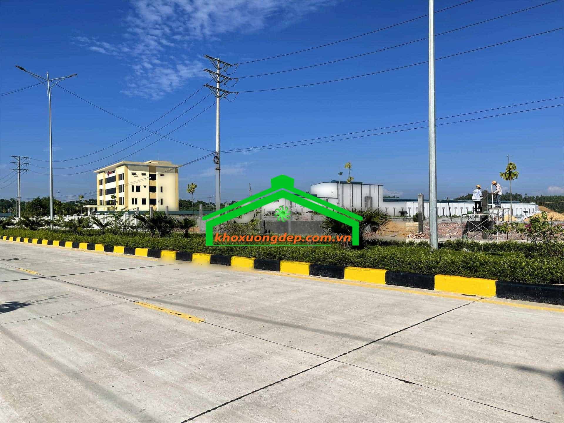Ảnh 5