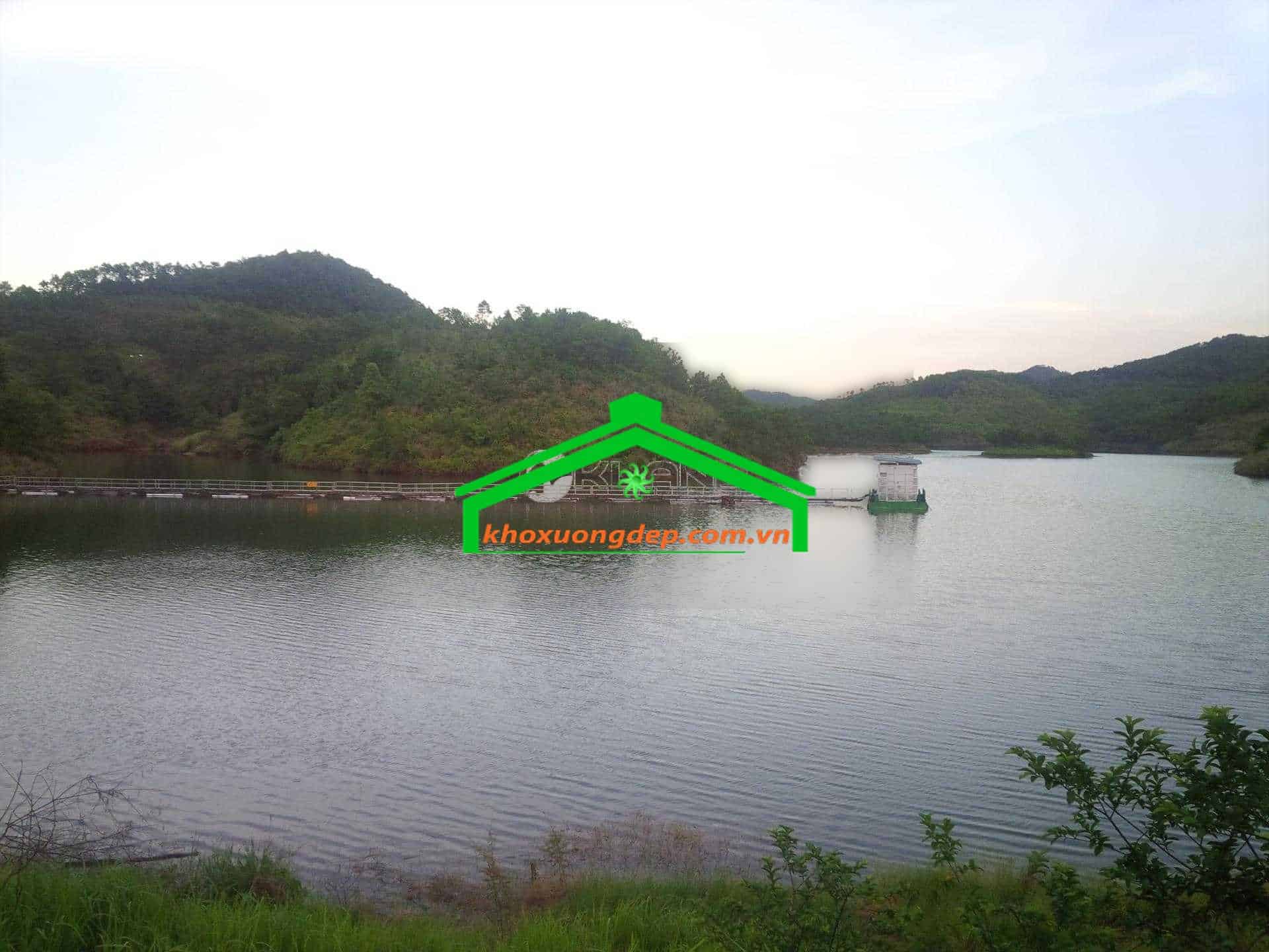 Ảnh 12