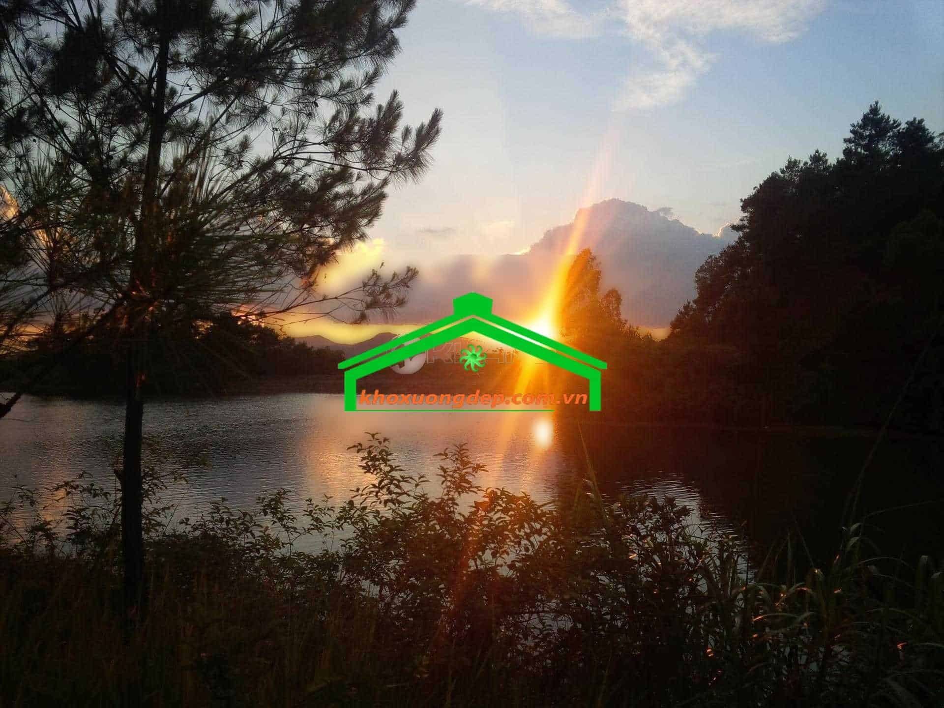 Ảnh 13