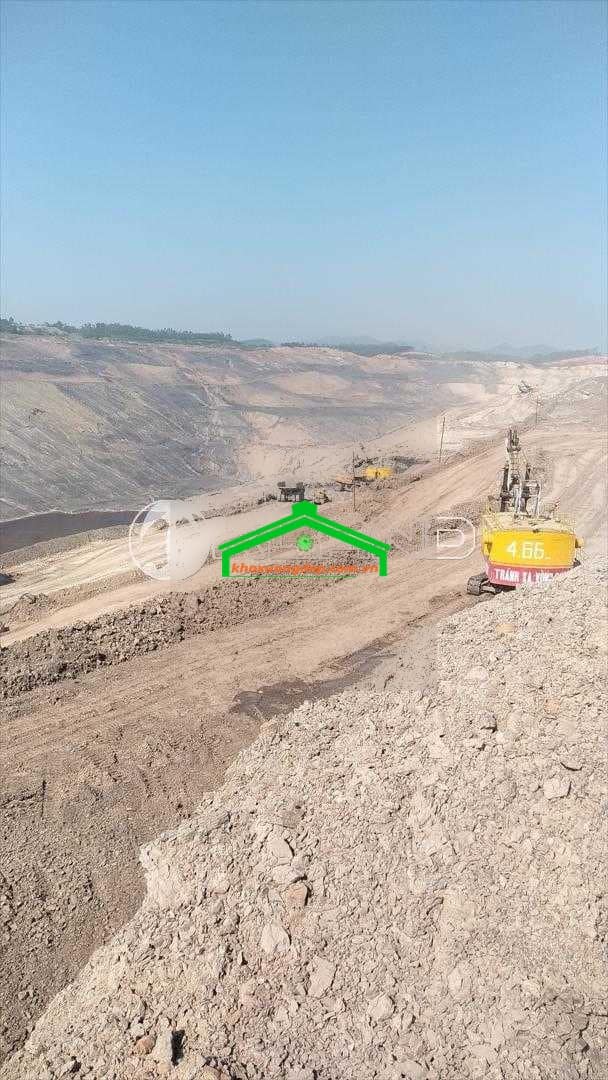 Ảnh 7