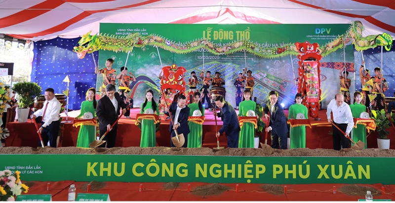 Ảnh 4