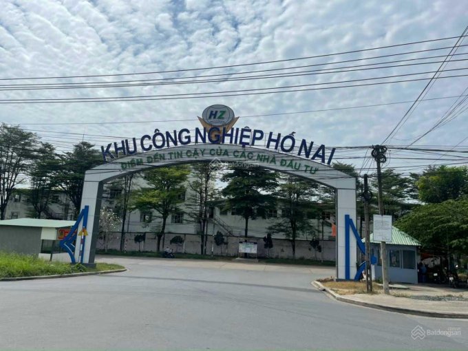 Ảnh 4