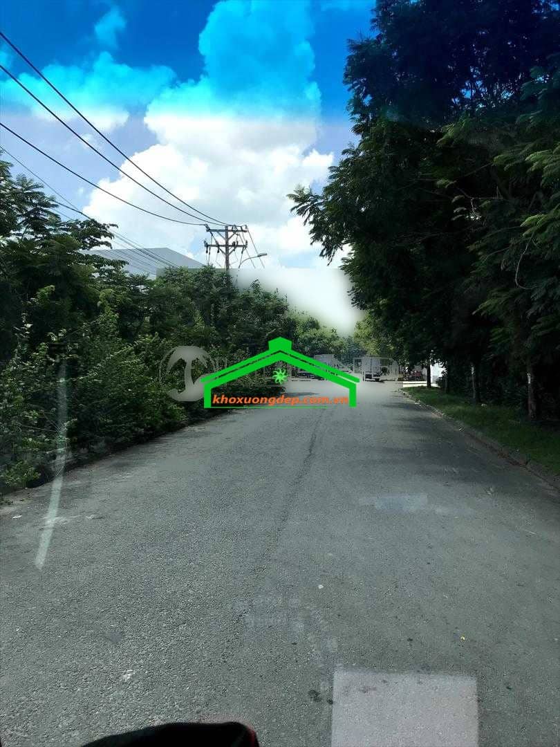 Ảnh 8