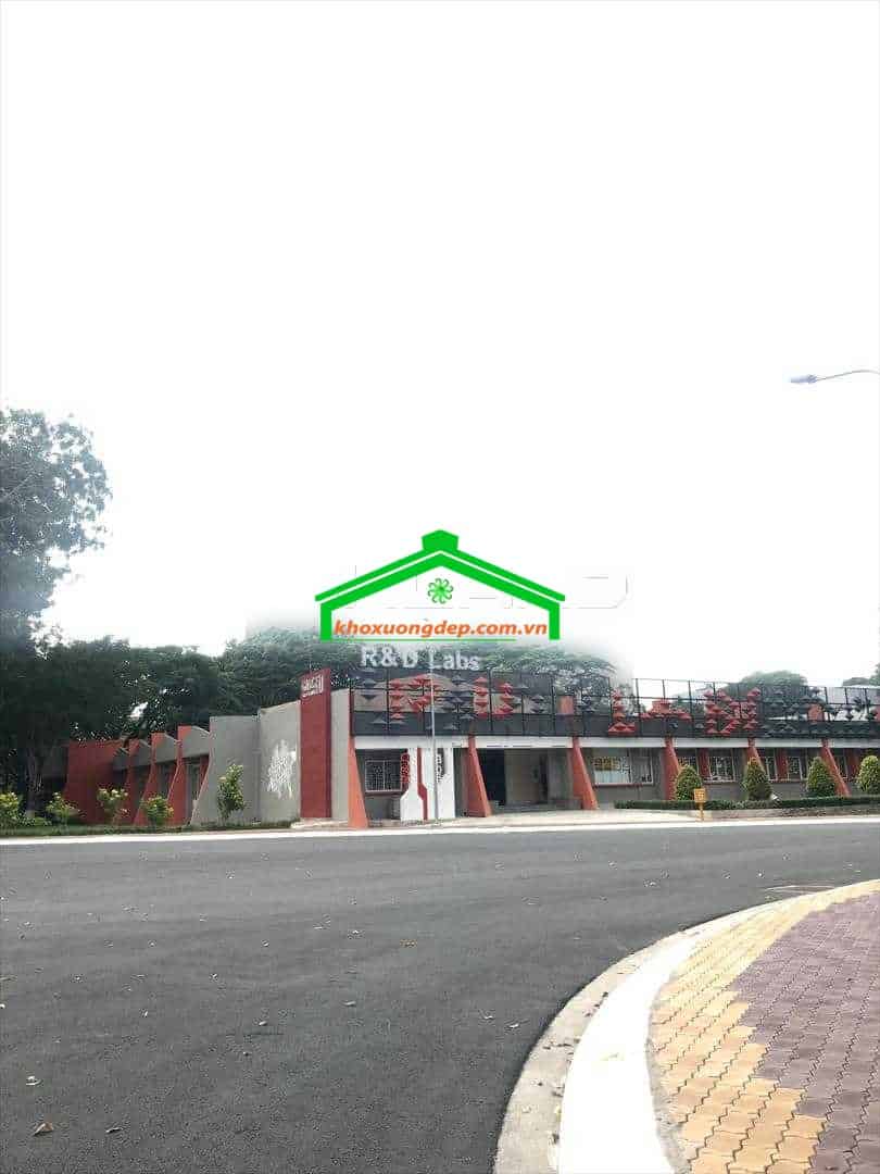 Ảnh 15