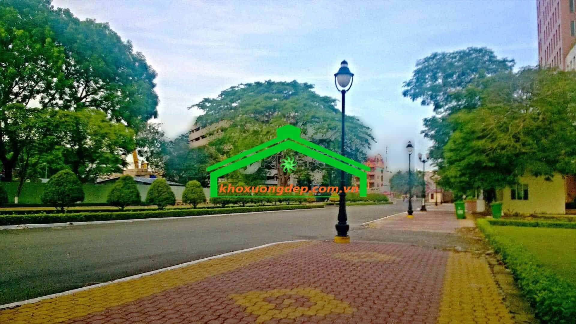 Ảnh 17