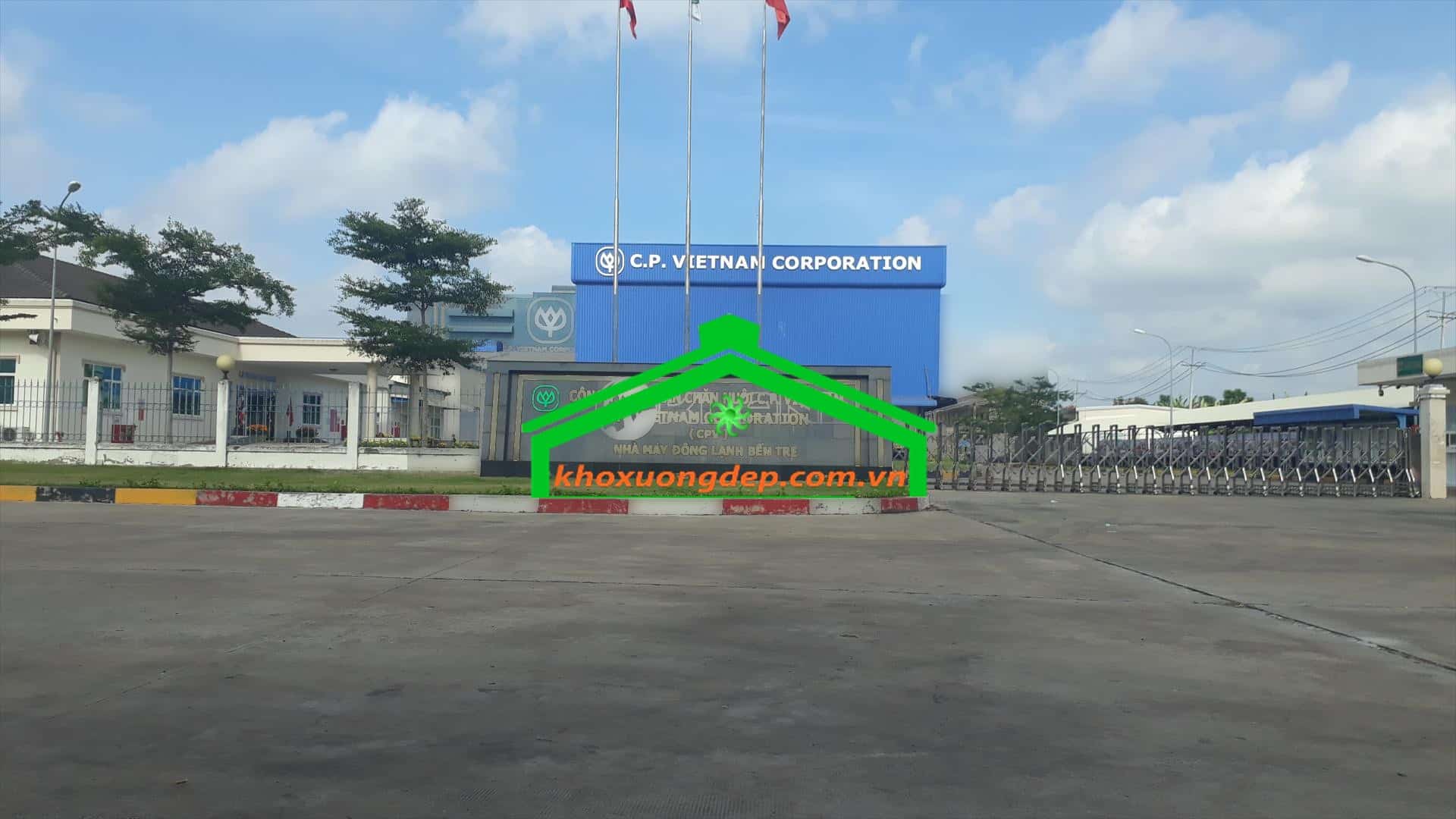 Ảnh 7