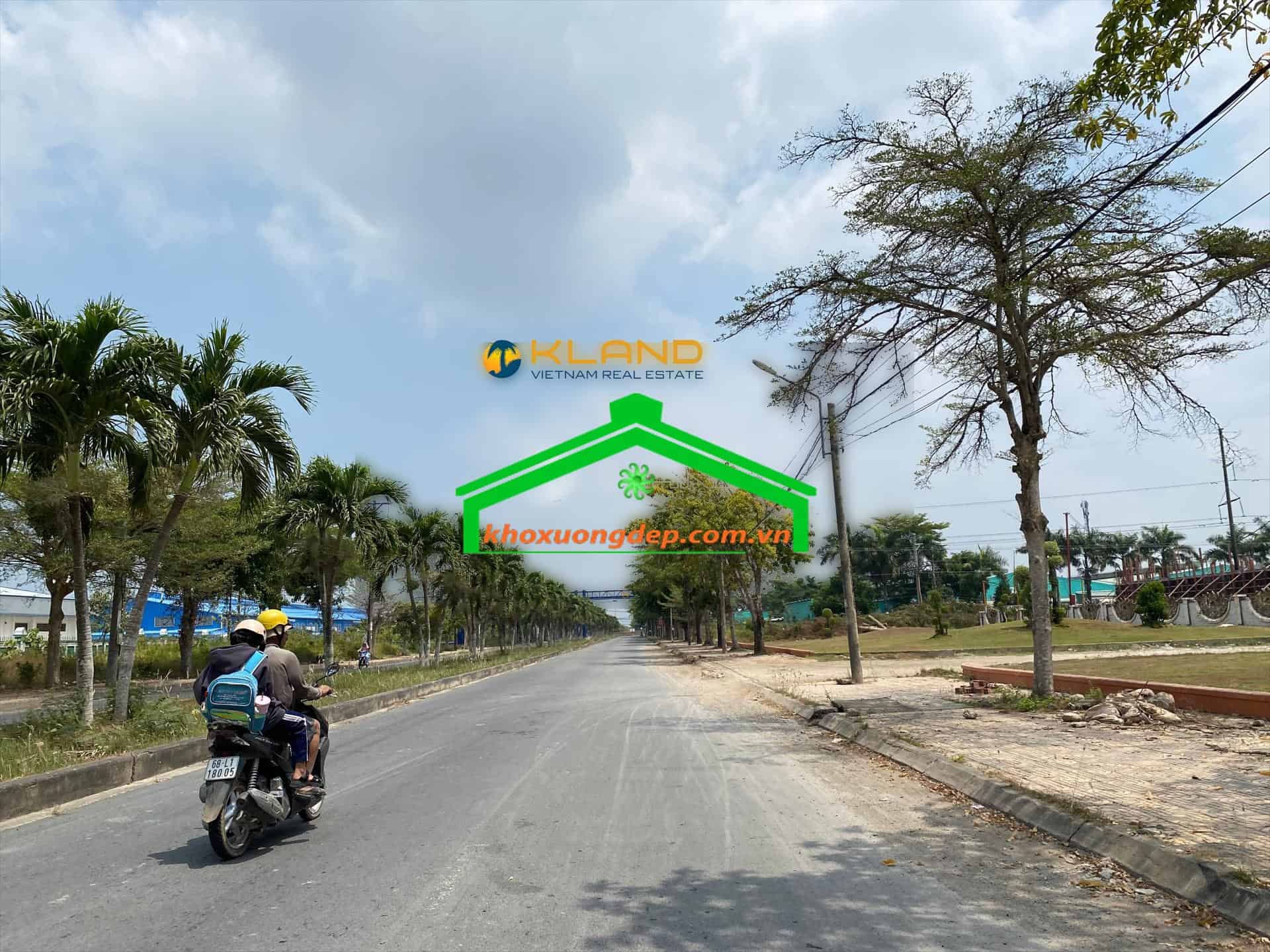 Ảnh 7