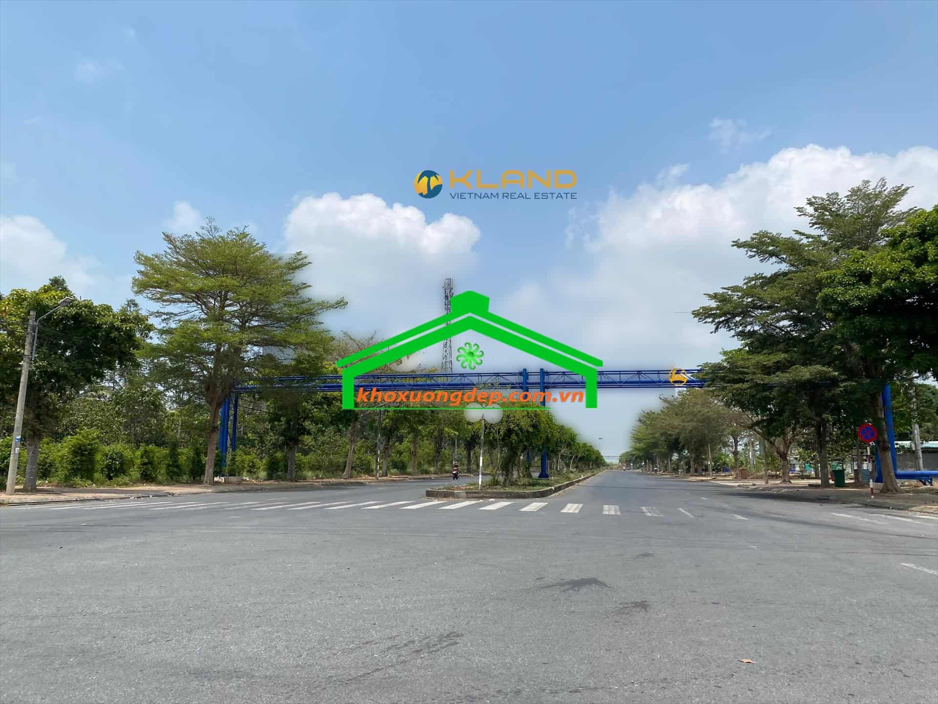 Ảnh 10