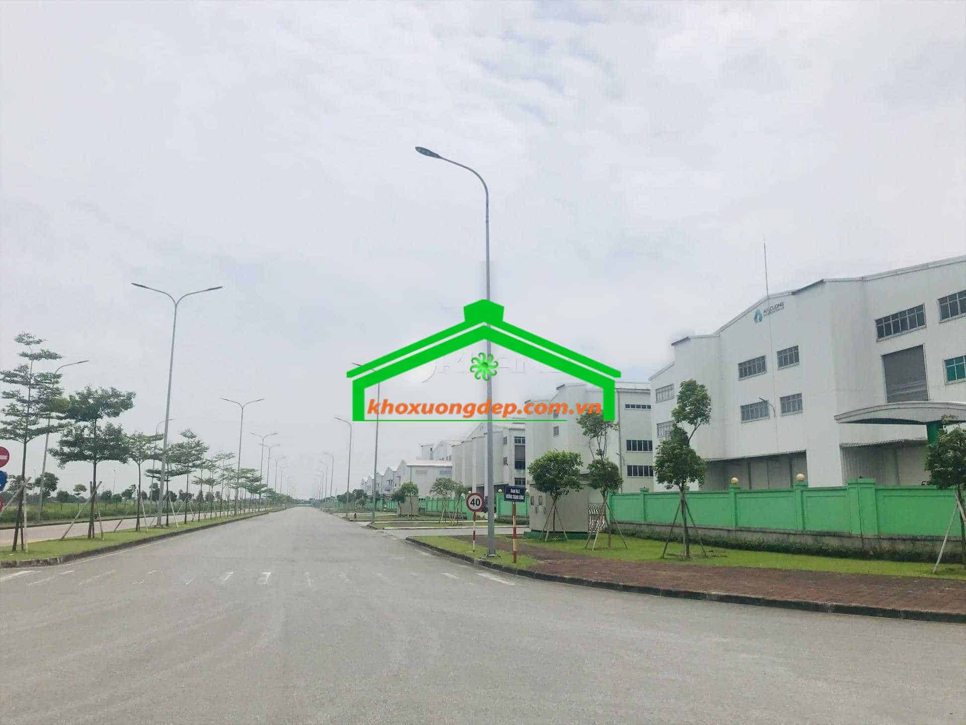 Ảnh 10