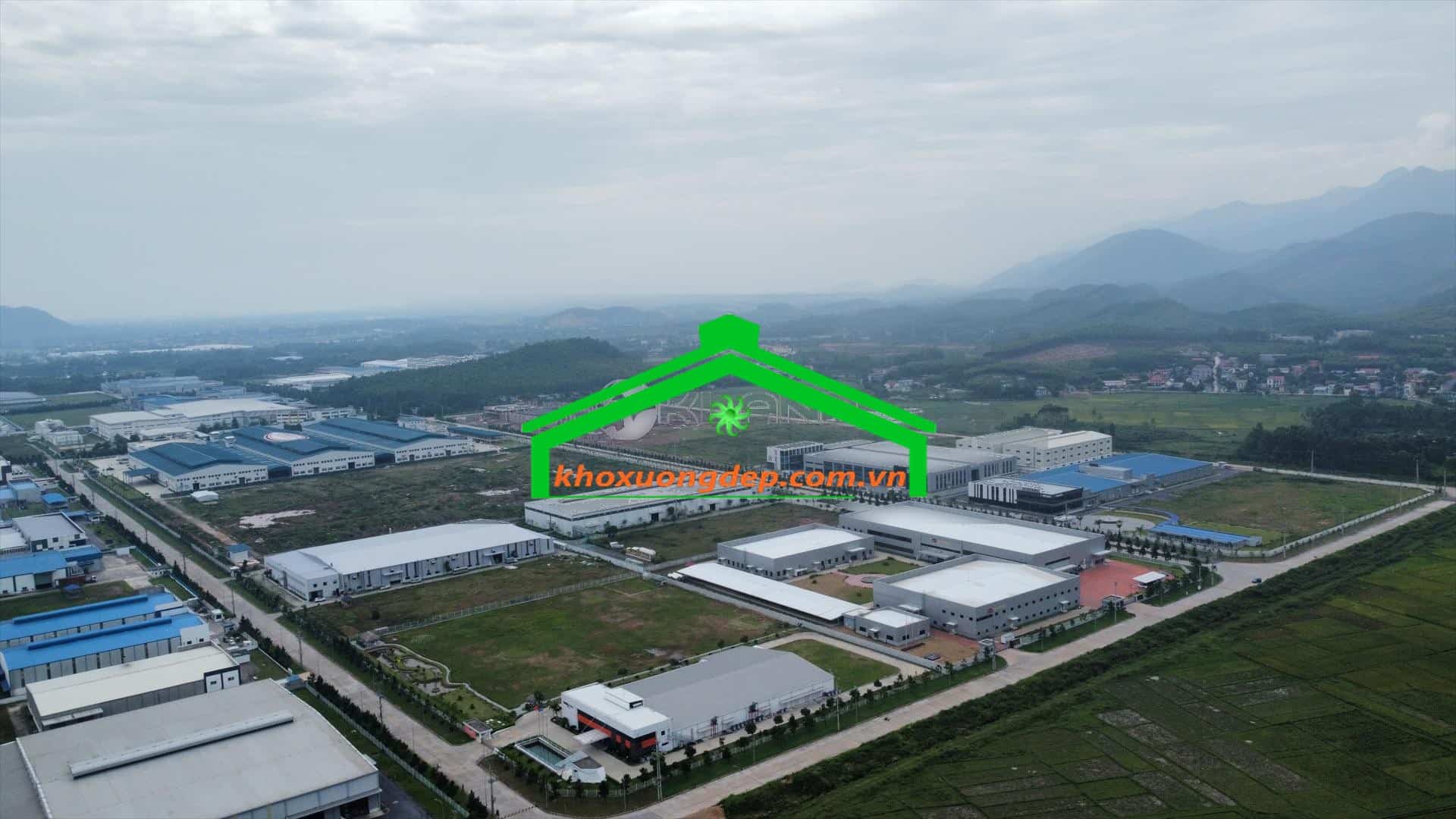 Ảnh 12