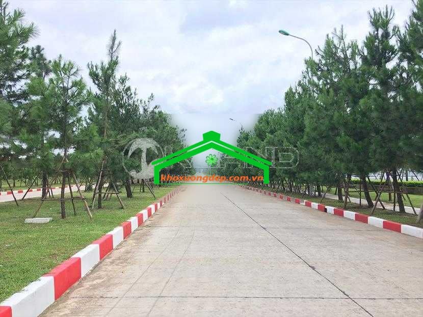 Ảnh 8