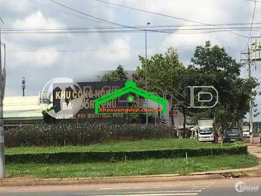 Ảnh 7