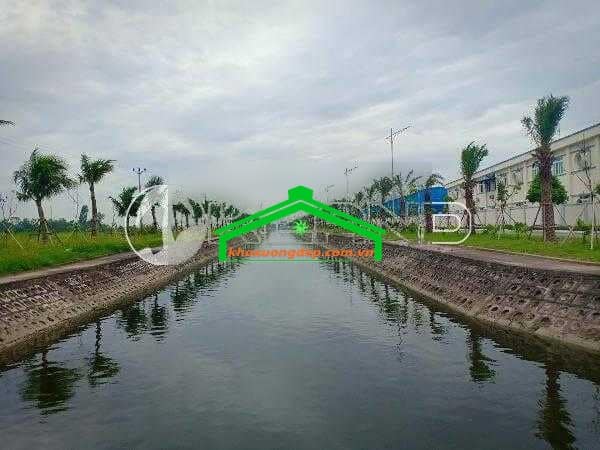 Ảnh 12