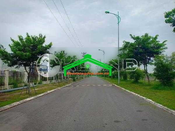 Ảnh 4