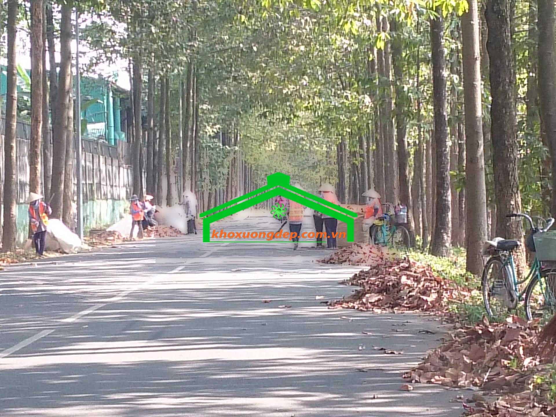 Khu công nghiệp Biên Hoà II – Đồng Nai