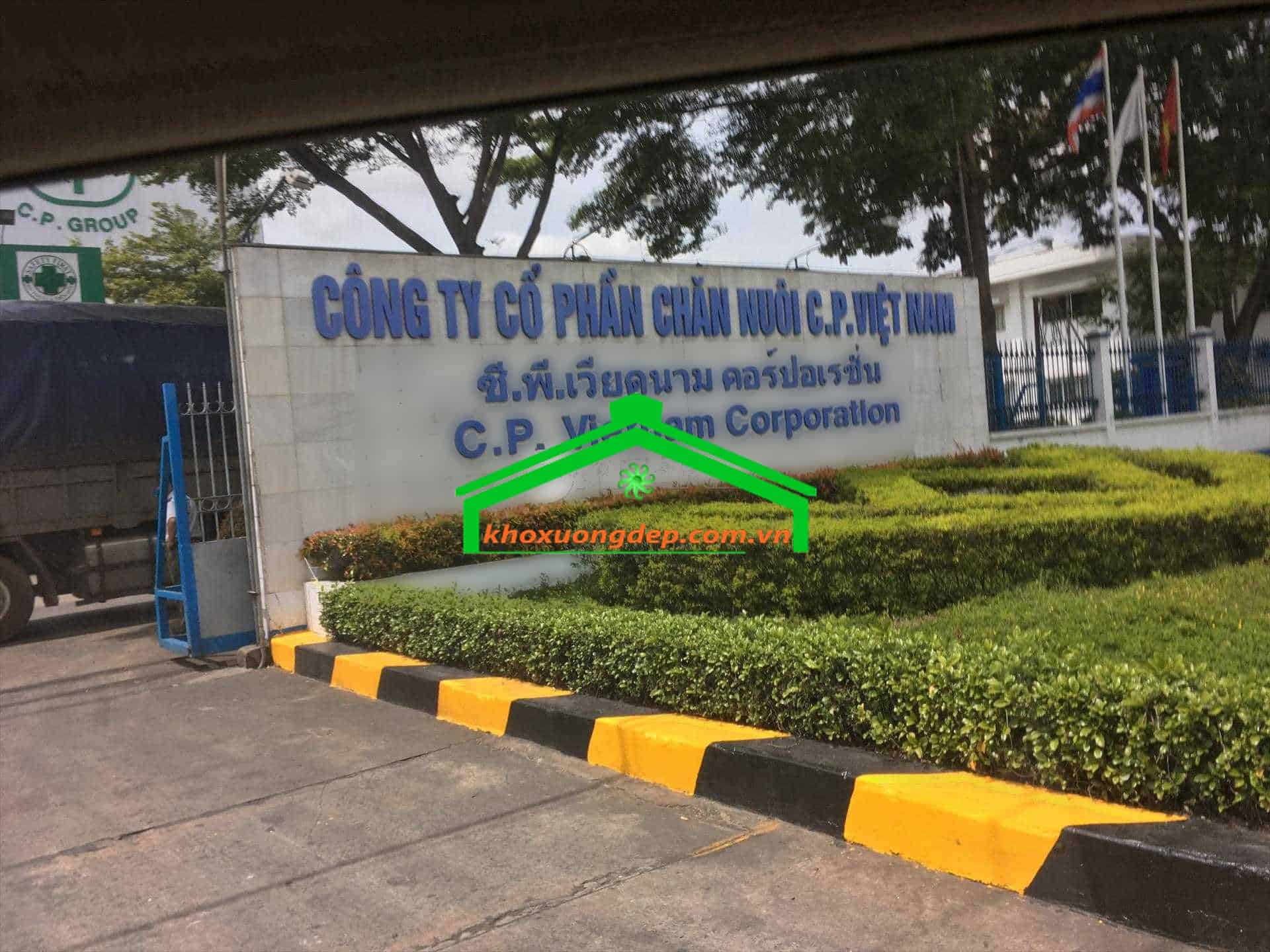 Ảnh 5