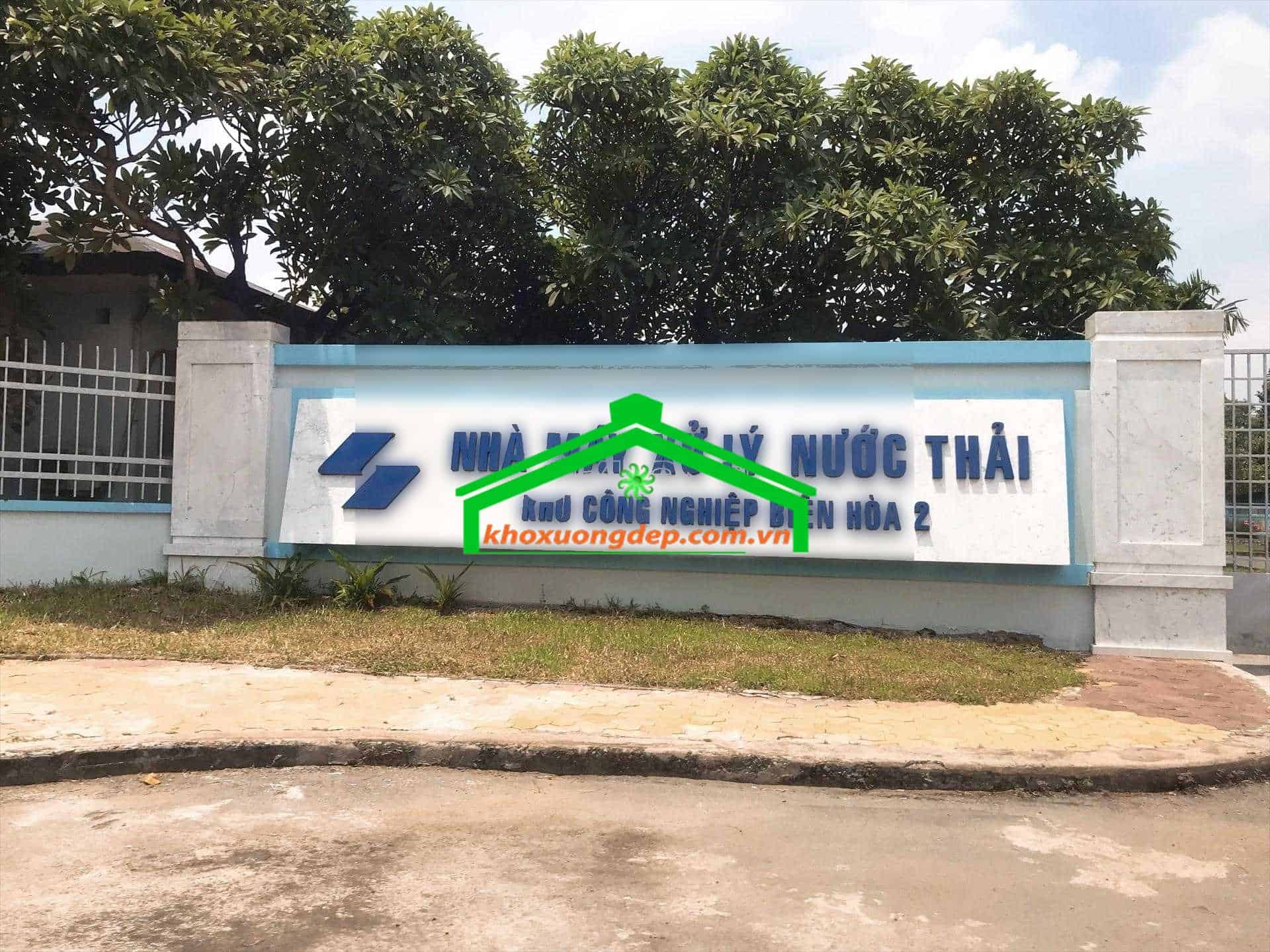 Ảnh 9